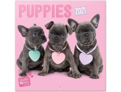 Calendário OFIURIA Studio Pets Puppies (2021 - 30 x 30 cm)