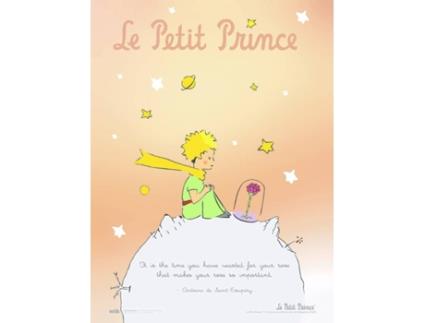 Print LE PETIT PRINCE 30X40 cm  O Pequeno Principe Ingles