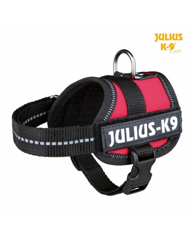 Peitoral Para Cães Julius-k9® Baby Xs Vermelho Xs-s