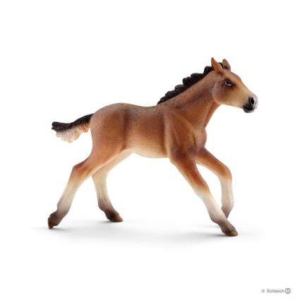 Potro Mustang
