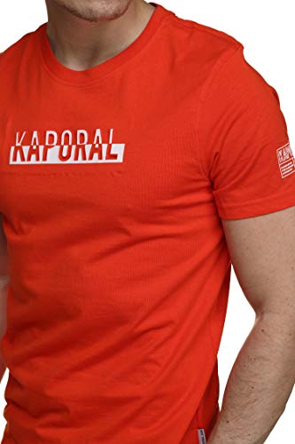 Kaporal T-shirt com gola redonda, Dino