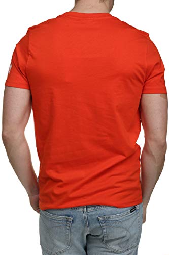 Kaporal T-shirt com gola redonda, Dino
