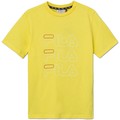 Fila  T-Shirt mangas curtas 683332  Amarelo Disponível em tamanho para rapaz 10 anos,12 anos,16 anos.Criança > Menino > Roupas > Camiseta