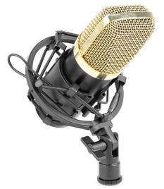 Microfone de Estúdio Condensador (CM650) Preto - 