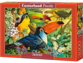Puzzle CASTORLAND Interlude (3000 Peças)