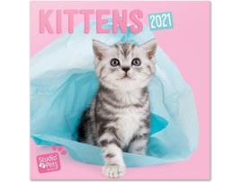 Calendário OFIURIA Studio Pets Kittens (2021 - 30 x 30 cm)