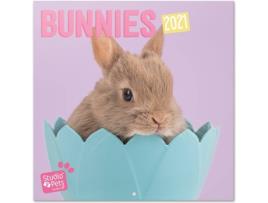 Calendário OFIURIA Studio Pets Bunny (2021 - 30 x 30 cm)