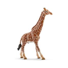 Schleich - Girafa