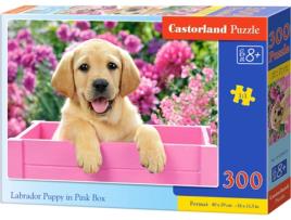 Puzzle  Labrador Puppy in Pink Box (300 Peças)