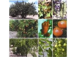Livro Tratado De Fruticultura Para Zonas Áridas Y Semiáridas. Vol. Ii: Algarrobo, Granado Y Jinjolero (Espanhol)