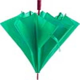 Guarda-chuva Automático XL (Ø 130 cm) 146105 - Verde