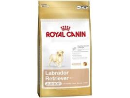 Ração para Cães ROYAL CANIN Labrador Retriever (12Kg - Seca - Cachorros - Sabor: Milho e Frango)
