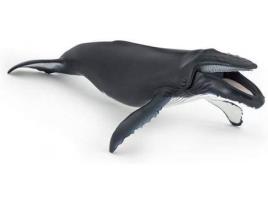 Figura  Baleia Jubarte