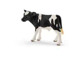 Figura  Vitelo Holstein