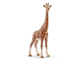 Figura  Girafa Fêmea