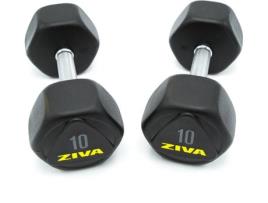 Conjunto de 2 Halteres ZIVA ZIVA-0758 (10 kg)