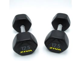 Conjunto de 2 Halteres ZIVA ZIVA-0759 (12.5 kg)