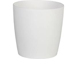 Vaso  Camelia Branco (30 x 28 cm)