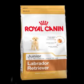 Royal Canin Labrador Junior 12 KG