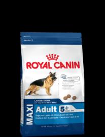 Royal Canin Maxi Adult +5, Alimento Seco Cão Grande 15kg
