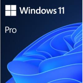 Microsoft Windows 11 Pro 64-bit PT