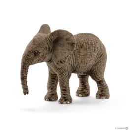 Elefante Africano, cria
