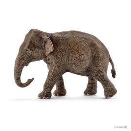 Elefante Asiático, fêmea