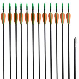 vidaXL Flechas padrão recurve por arcos 76.2 cm/ 0,6 cm fibra de vidro 12 pçs