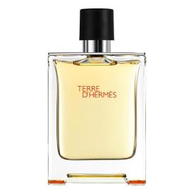 Terre D'Hermes Pour Homme - 100 ML Eau de toilette Perfumes Homens