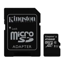 Kingston Standard Micro Sd Class 10 256gb + Sd Adaptador Memória Cartão One Size Black