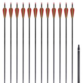 vidaXL Flechas padrão recurve para arcos 76.2 cm/ 0,76 cm carbono 12 peças