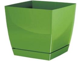 Vaso PROSPERPLAST Coubi Square P (Verde - 21 x 21 x 19.2 cm)