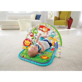Fisher Price 3-in-1 Musical Activity Gym One Size Multicolour