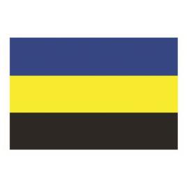 Província Gelderland 20 x 30 cm Blue / Yellow / Black