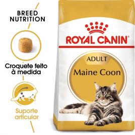 Royal Canin Maine Coon Adult - Pack económico: 2 x 10 kg