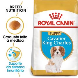 Royal Canin Cavalier King Charles Puppy/Junior - 1,5 kg