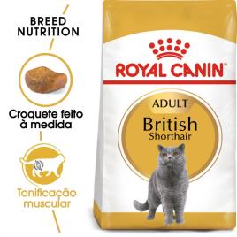 Royal Canin British Shorthair Adult - Pack Económico: 2 x 10 kg