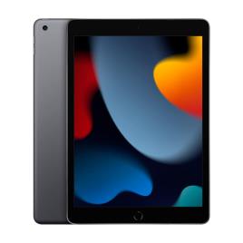 iPad 10.2 Wi-Fi Cinzento Sideral
