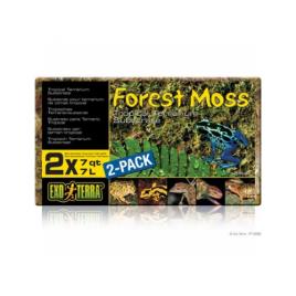 Substrato Natural Florest Moss 