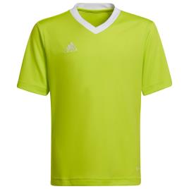 Adidas Camiseta Manga Curta Entrada 22 164 cm Team Semi Sol Yellow