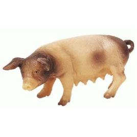 Bullyland Figura De Porca Pied One Size