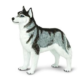 Safari Ltd Figura Siberian Husky From 3 Years Grey / White