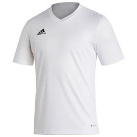 Adidas Camiseta Manga Corta Entrada 22 XL White