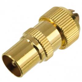 Male Tv Connector One Size Gold