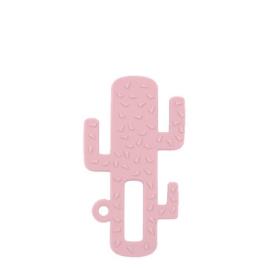 Mordedor Silicone Cactus Rosa 3m+