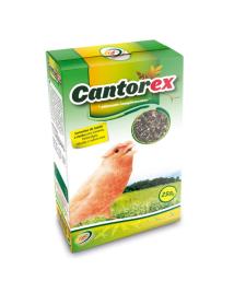 Cantorex - Sementes de saúde / Canto 250 gr