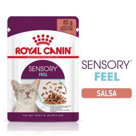 Royal Canin Sensory Feel em molho - Pack económico 24 x 85 g
