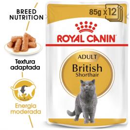 Royal Canin Breed British Shorthair - Pack económico: 24 x 85 g