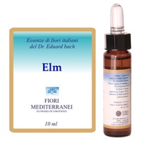 Elm FM (Elm) 10 ml de elixir floral - Forza Vitale