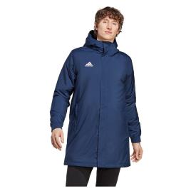 Adidas Ent22 Jacket Azul S / Regular Homem
